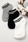 XGRİ POLO 3 Lü Kadın Patik Çorap (36-40) 9023-1