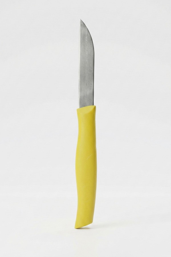 ASR 12'li Meyve Bıçağı Sarı