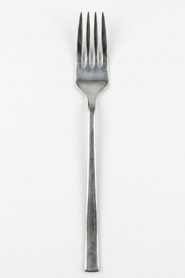 Tercan Okyanus 6'lı Yemek Çatalı