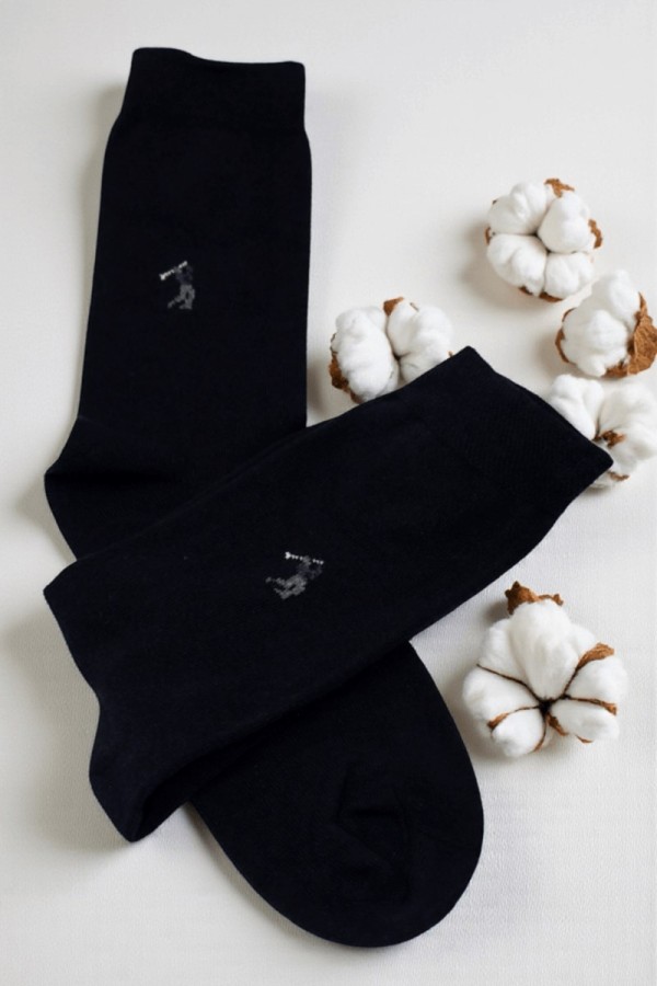 Aksu Erkek Dikişsiz Kokulu Çorap 9316-2