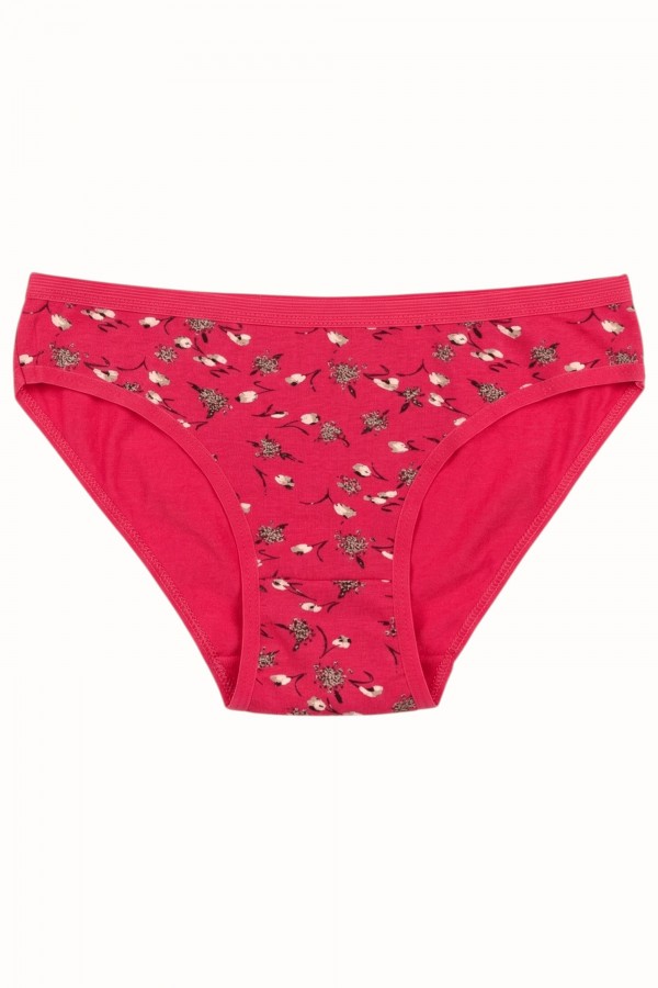 Dondeza 101 Desenli Kadın Slip Külot 8610-3