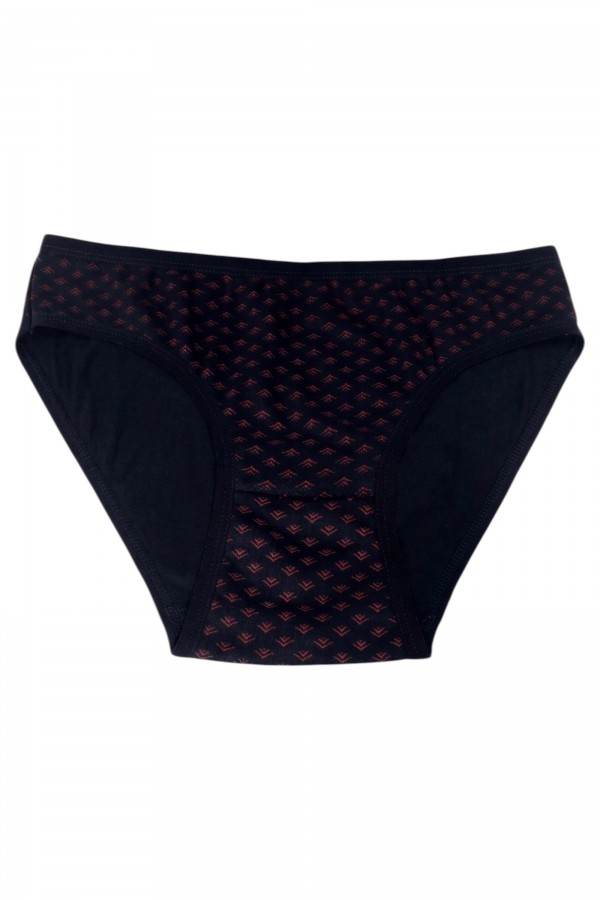 Dondeza 101 Desenli Kadın Slip Külot 8610-13