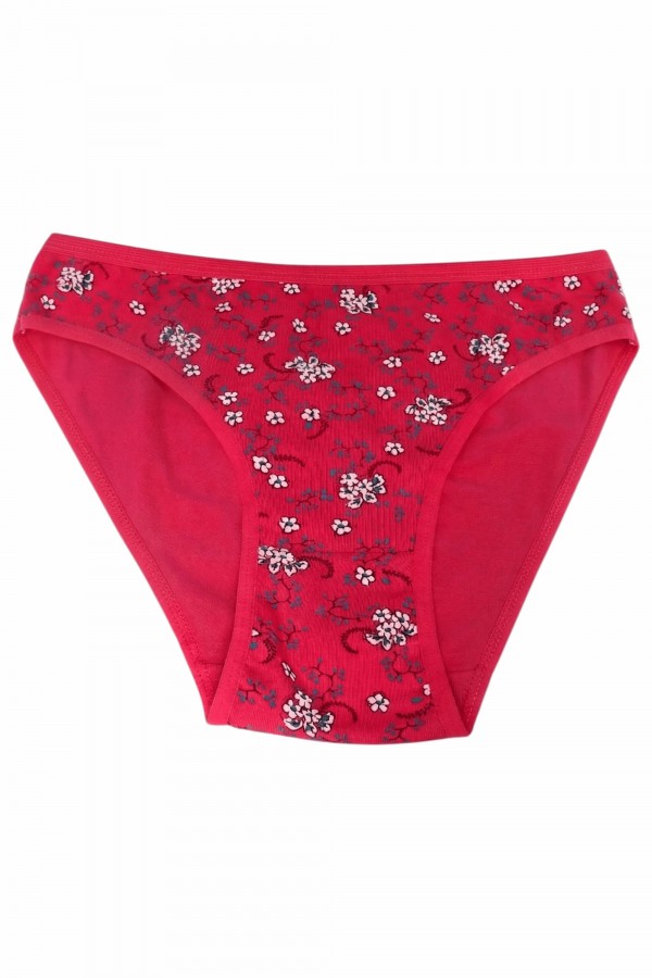 Dondeza 101 Desenli Kadın Slip Külot 8610-16