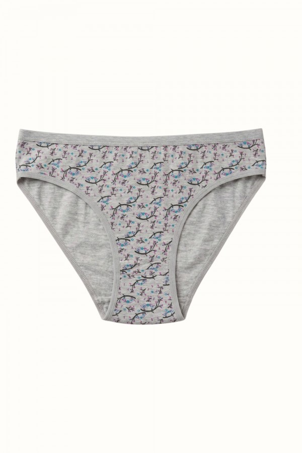 Dondeza 101 Desenli Kadın Slip Külot 8610-26