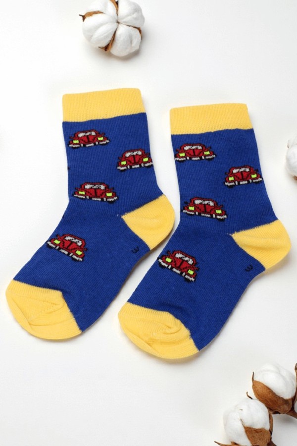 Vakre Erkek Çocuk Çorap (3-4 Yaş) 9405-11