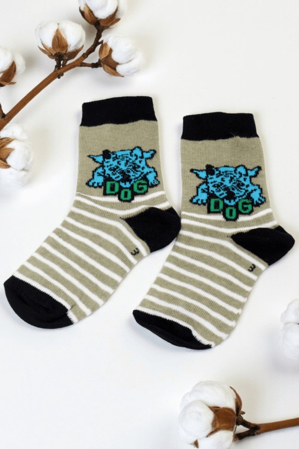 Vakre Erkek Çocuk Çorap (3-4 Yaş) 9405-14