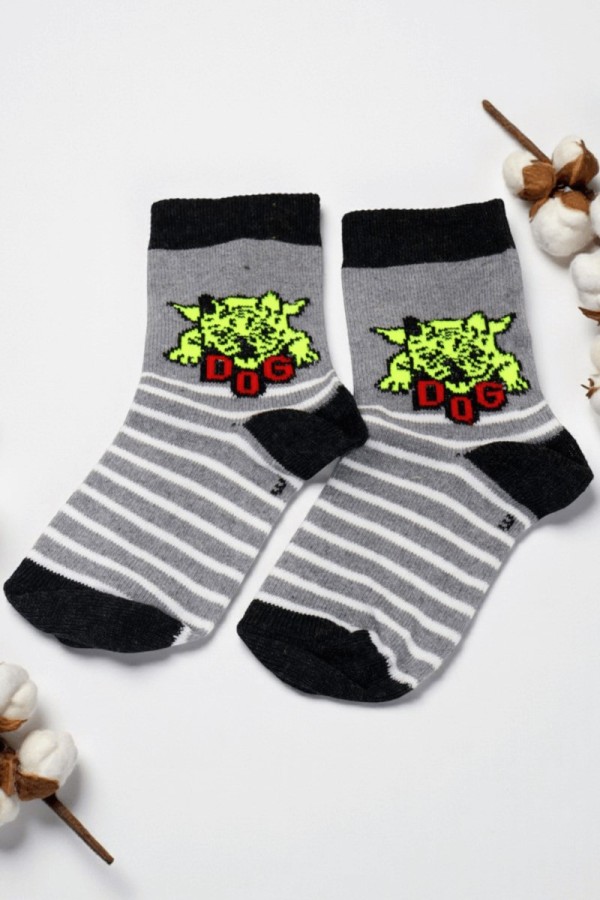 Vakre Erkek Çocuk Çorap (3-4 Yaş) 9405-15