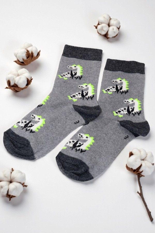 Vakre Erkek Çocuk Çorap (3-4 Yaş) 9405-2