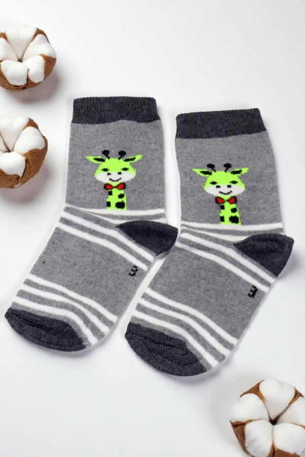 Vakre Erkek Çocuk Çorap (3-4 Yaş) 9405-20