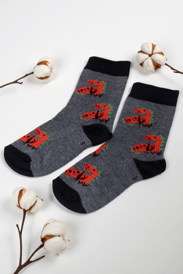 Vakre Erkek Çocuk Çorap (3-4 Yaş) 9405-3