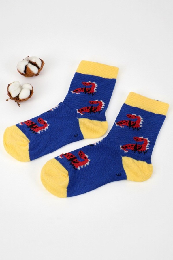 Vakre Erkek Çocuk Çorap (3-4 Yaş) 9405-4