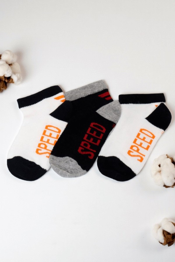 Berka Erkek Çocuk 3'lü Patik Çorap (3-4 Yaş) 9410-10