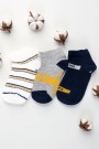 Berka Erkek Çocuk 3'lü Patik Çorap (3-4 Yaş) 9410-11