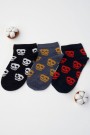 Berka Erkek Çocuk 3'lü Patik Çorap (3-4 Yaş) 9410-5
