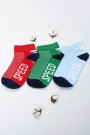 Berka Erkek Çocuk 3'lü Patik Çorap (3-4 Yaş) 9410-6