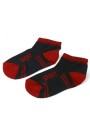 Berka Erkek Çocuk 3'lü Patik Çorap (3-4 Yaş) 9410-13