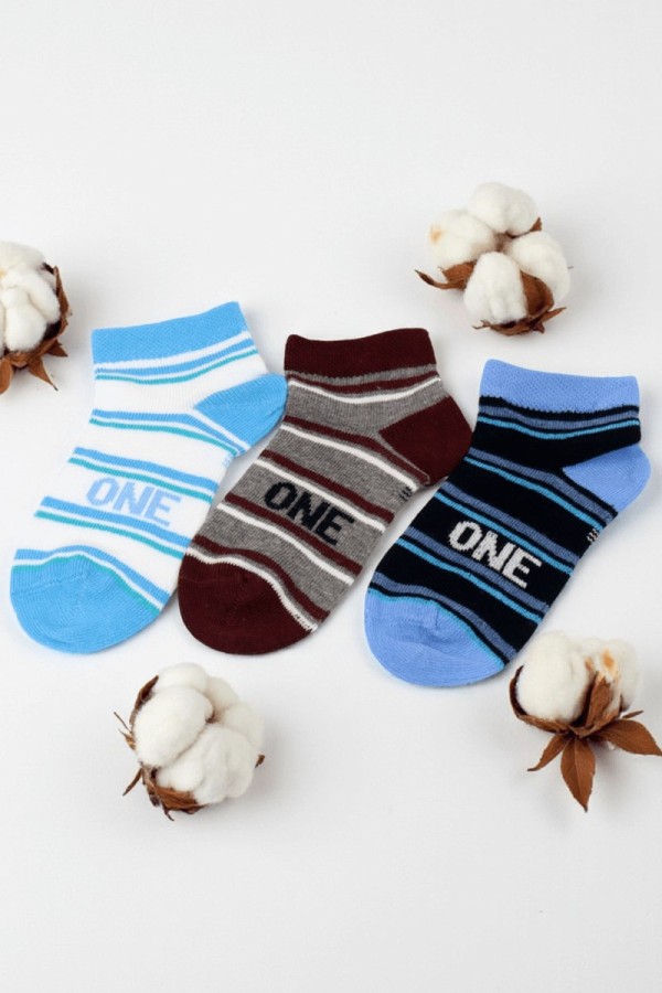 Berka Erkek Çocuk 3'lü Patik Çorap (3-4 Yaş) 9410-2