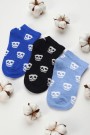 Berka 3'lü Erkek Çocuk Patik Çorap (5-6 Yaş) 9409-13