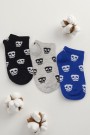 Berka 3'lü Erkek Çocuk Patik Çorap (5-6 Yaş) 9409-14