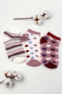 Berka 3'lü Kız Çocuk Patik Çorap (5-6 Yaş) 9801-4