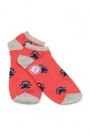 Berka 3'lü Kız Çocuk Patik Çorap (11-12 Yaş) 9514-1