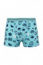 Aldeza 550 Desenli Erkek Çocuk Boxer 8908-1