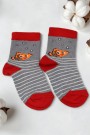 Vakre Kız Çocuk Çorap (3-4 Yaş) 9602-12