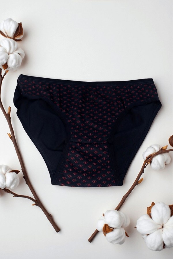 Dondeza 101 Desenli Kadın Slip Külot 8610-13