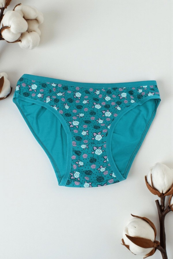 Dondeza 101 Desenli Kadın Slip Külot 8610-14