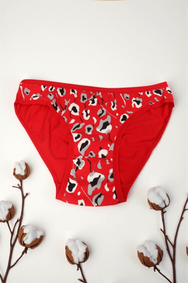 Dondeza 101 Desenli Kadın Slip Külot 8610-15