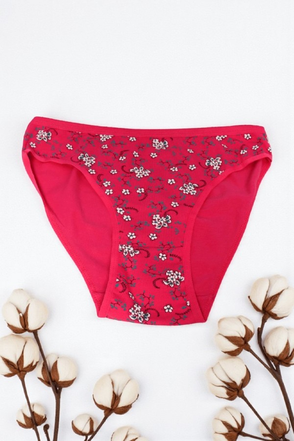 Dondeza 101 Desenli Kadın Slip Külot 8610-16