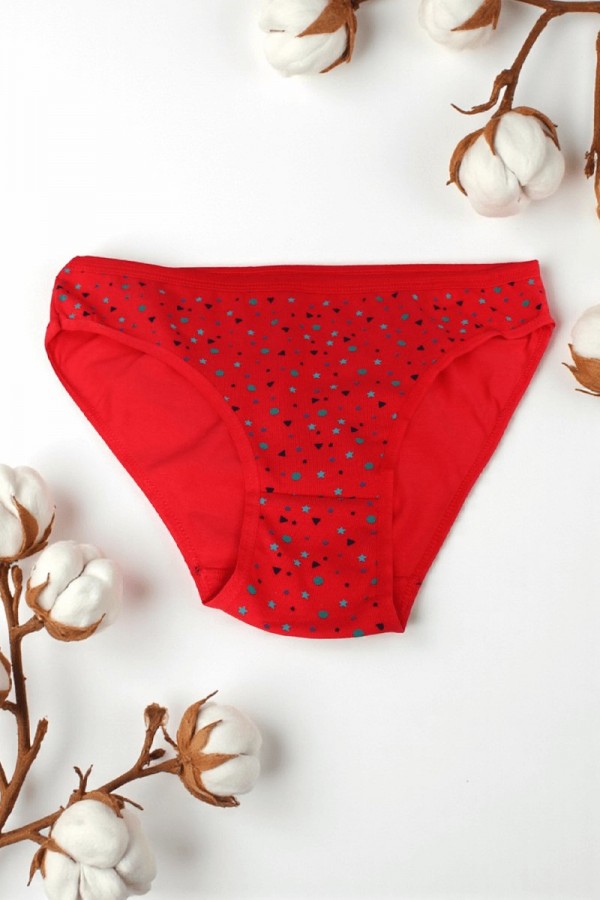 Dondeza 101 Desenli Kadın Slip Külot 8610-9