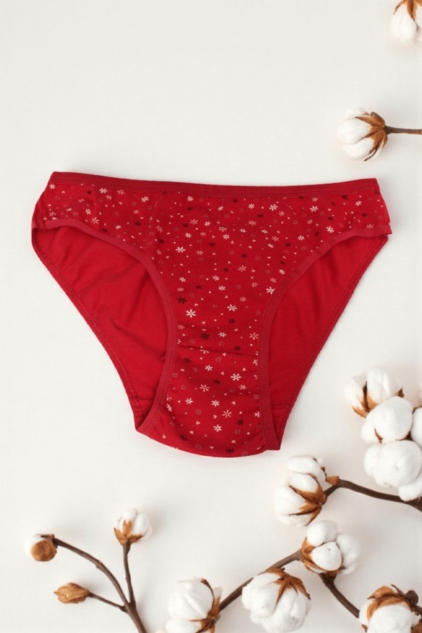 Dondeza 101 Desenli Kadın Slip Külot 8610-7