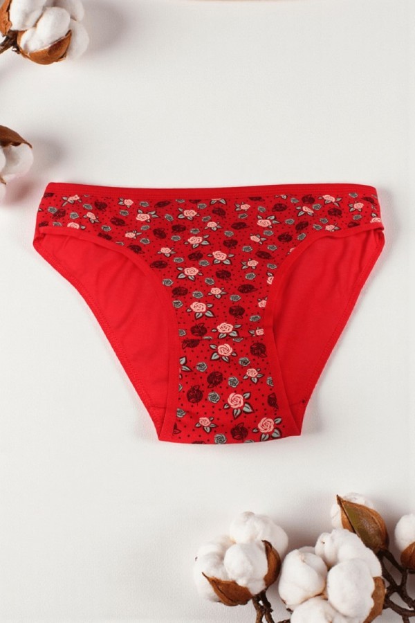 Dondeza 101 Desenli Kadın Slip Külot 8610-6