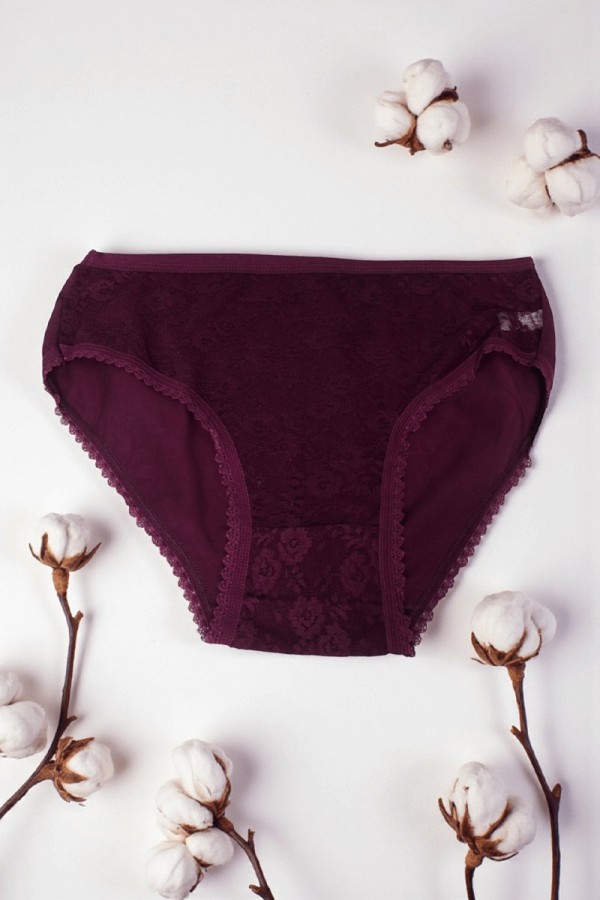 Dondeza 204 Kadın Dantelli Külot 8613-5