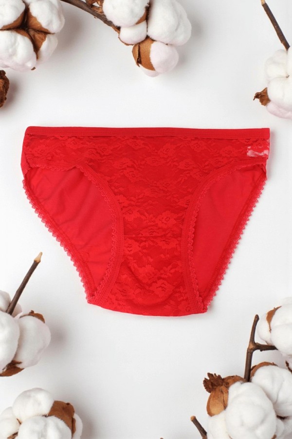 Dondeza 102 Desenli Kadın Slip Külot 8612-3