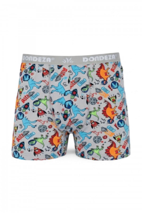 Dondeza 503 Desenli Erkek Çocuk Boxer 8905-11