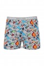 Dondeza 503 Desenli Erkek Çocuk Boxer 8905-11