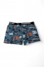 Dondeza 503 Desenli Erkek Çocuk Boxer 8905-17
