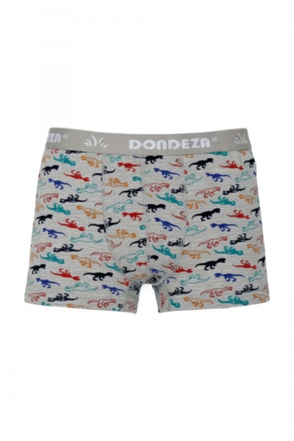 Dondeza 503 Desenli Erkek Çocuk Boxer 8905-18