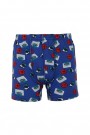 Dondeza 507 Desenli Erkek Çocuk Kom Boxer 8906-4