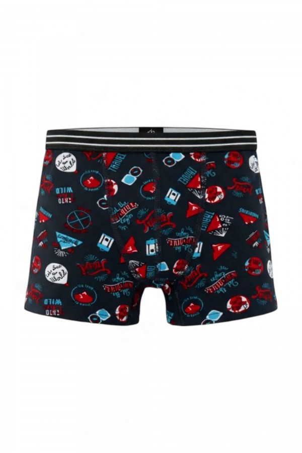 Aldeza 550 Desenli Erkek Çocuk Boxer 8908-2