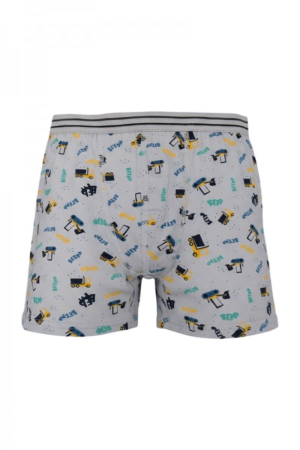 Aldeza 550 Desenli Erkek Çocuk Boxer 8908-10