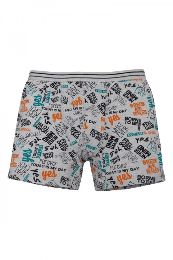 Aldeza 550 Desenli Erkek Çocuk Boxer 8908-11