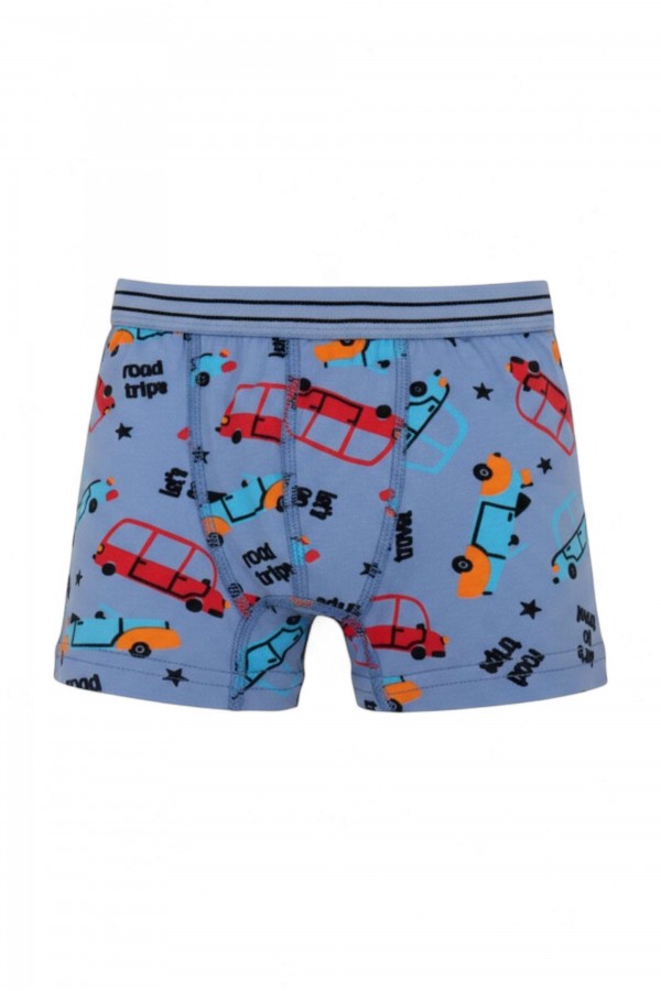 Aldeza 550 Desenli Erkek Çocuk Boxer 8908-12