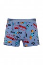 Aldeza 550 Desenli Erkek Çocuk Boxer 8908-12