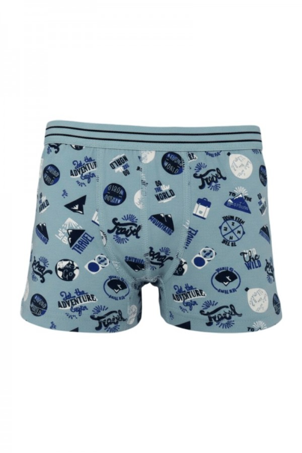 Aldeza 550 Desenli Erkek Çocuk Boxer 8908-3
