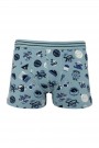 Aldeza 550 Desenli Erkek Çocuk Boxer 8908-3