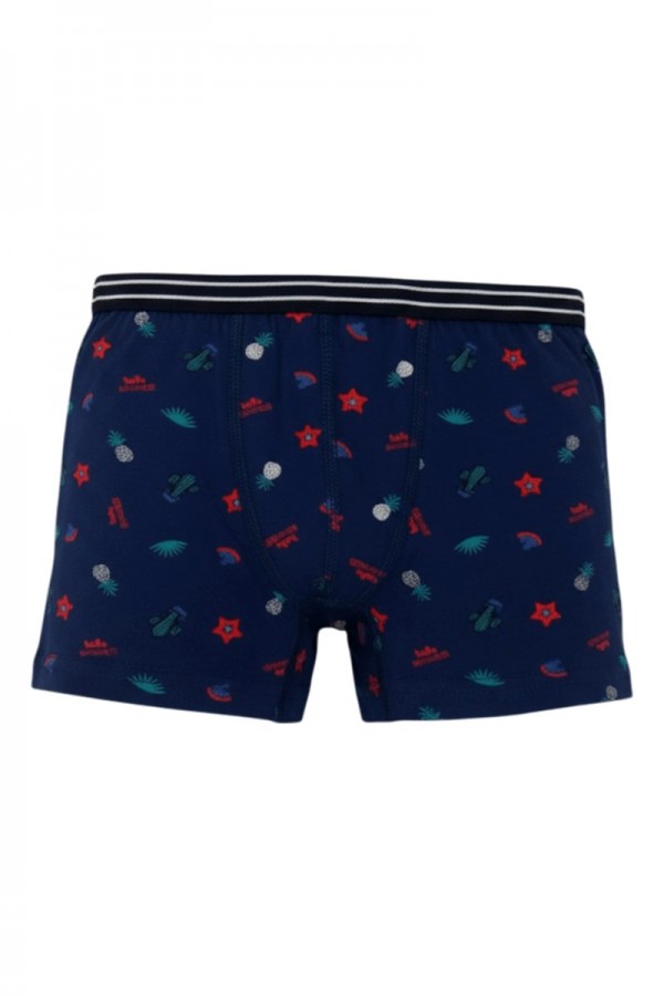 Aldeza 550 Desenli Erkek Çocuk Boxer 8908-13