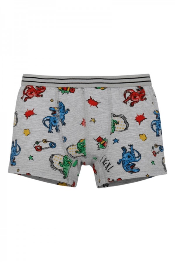 Aldeza 550 Desenli Erkek Çocuk Boxer 8908-14